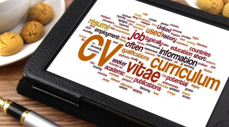 curriculum-vitae, video curriculum, que es curriculum, como es