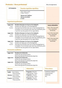 curriculum-vitae-cronologico-02