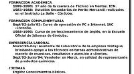 ¿Para qué perfil es más útil el curriculum temático?