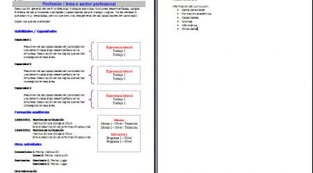 cv_funcional