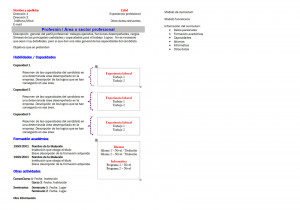 cv_funcional_gde_2hojas