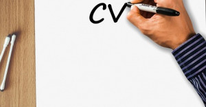 curriculum vitae